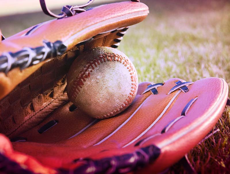 go-baseball Sport Team Transportation