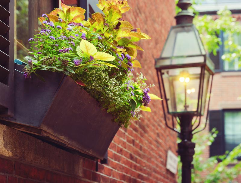 residential1 Boston Transportation Service